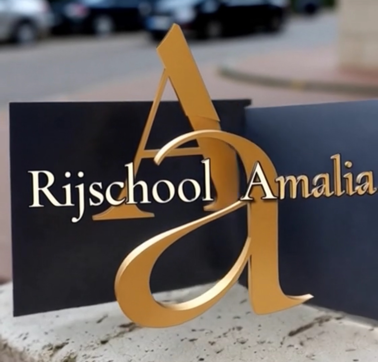 Rijschool Alkmaar | Goedkope Rijlessen – Rijschool Amalia